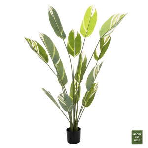 ΔΙΑΚΟΣΜΗΤΙΚΟ ΣΥΝΘΕΤΙΚΟ ΦΥΤΟ FB97997 CALATHEA ΣΕ ΓΛΑΣΤΡΑ 140Υεκ.
